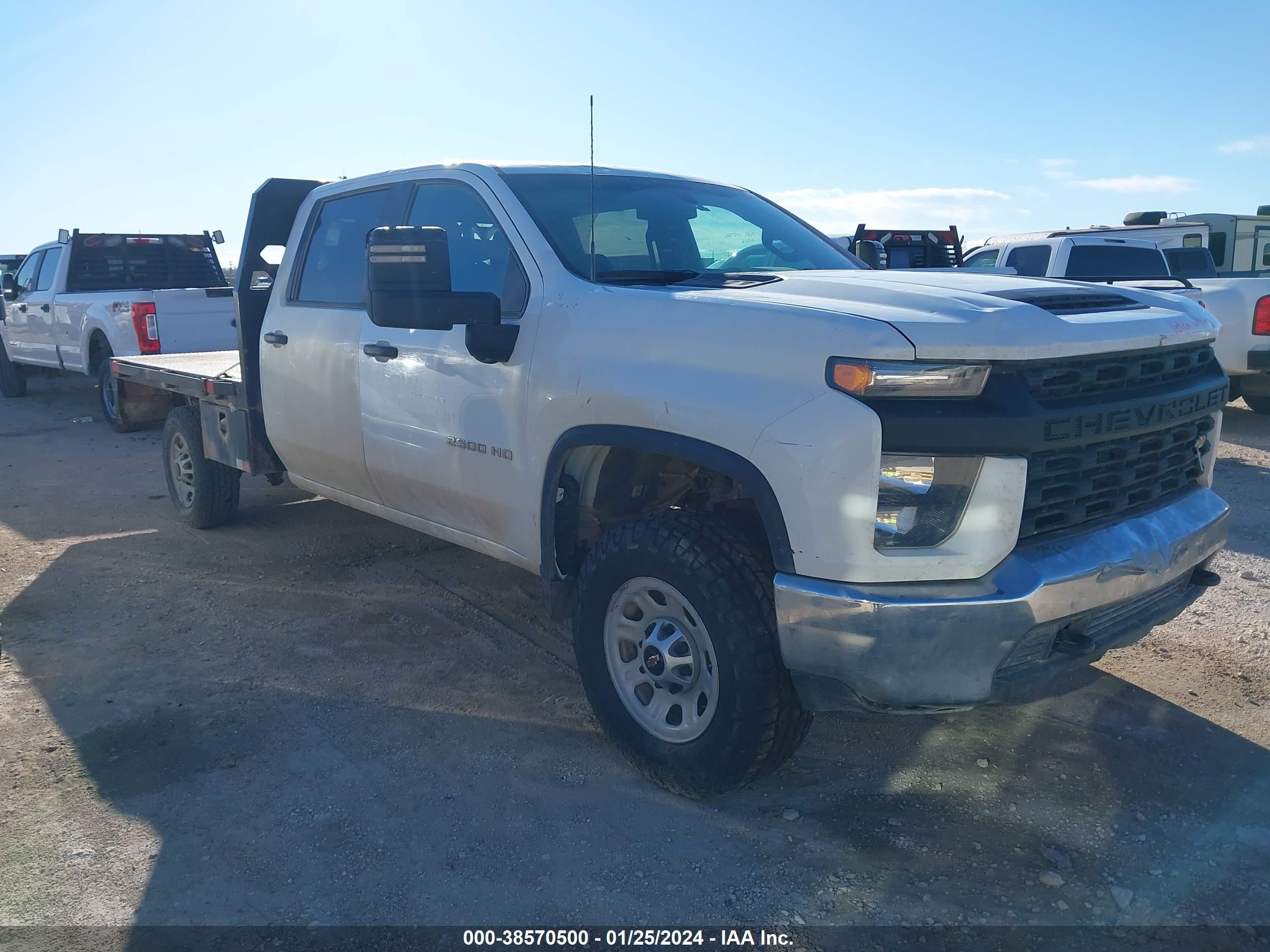 CHEVROLET SILVERADO 2020 1gb4yle77lf341533