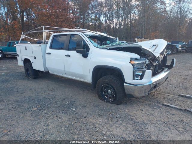 CHEVROLET SILVERADO 2020 1gb4yse77lf304606