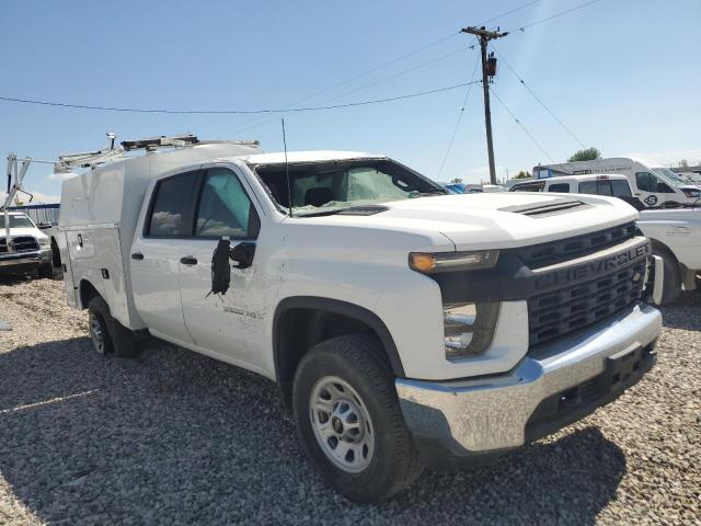 CHEVROLET SILVERADO 2020 1gb4yse79lf221243