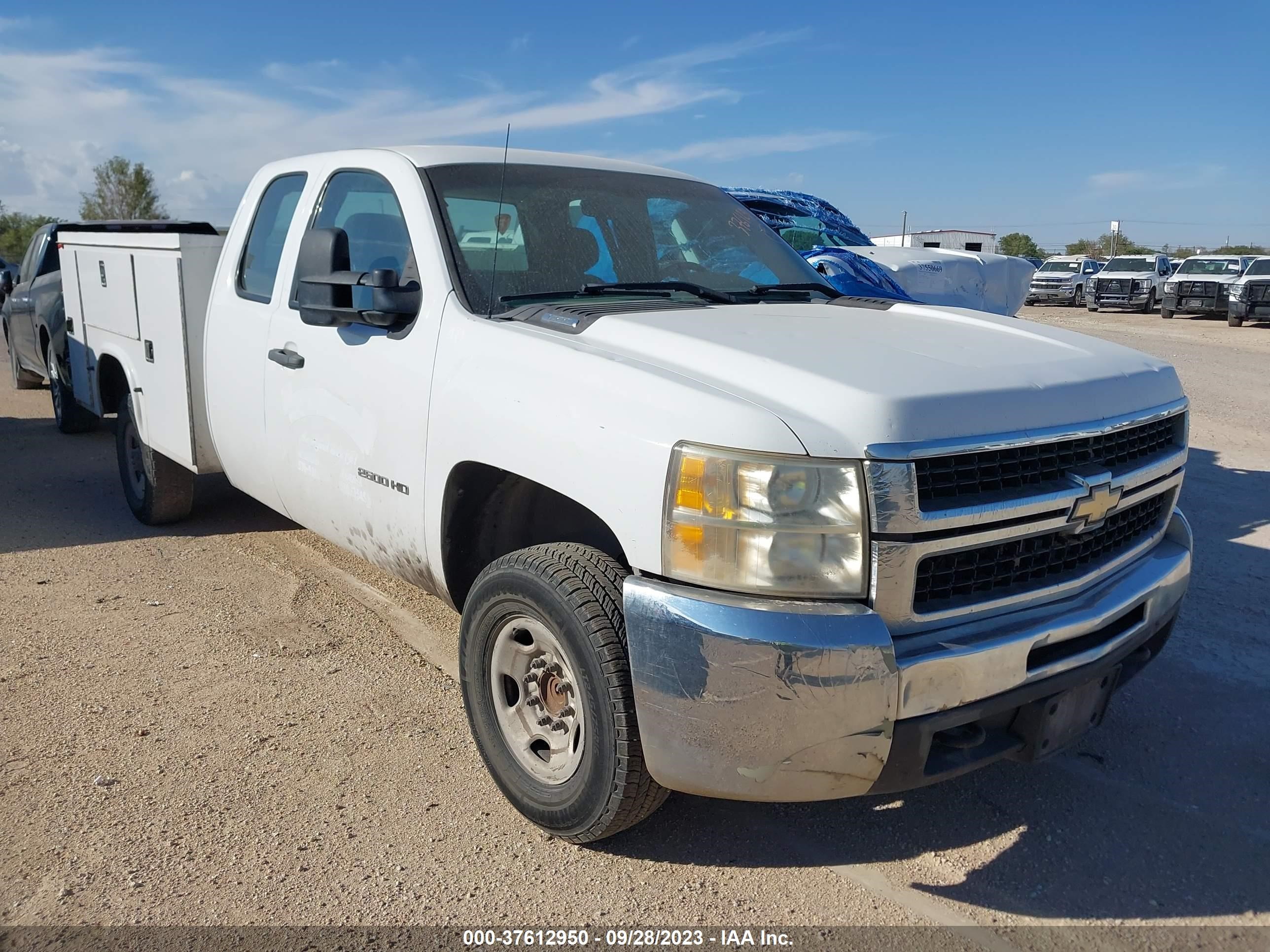 CHEVROLET SILVERADO 2010 1gb5cvbk5az227422