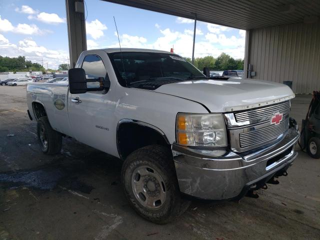 CHEVROLET SILVERADO 2011 1gc0kvcg1bf177821