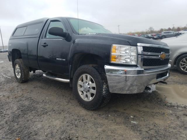 CHEVROLET SILVERADO 2020 1gc0kvcg3dz290977