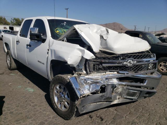 CHEVROLET SILVERADO 2011 1gc1cvcg8bf242200