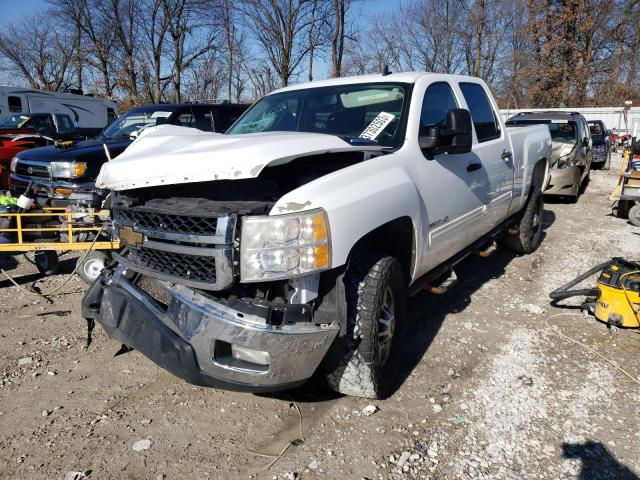 CHEVROLET SILVERADO 2011 1gc1cxc88bf244503