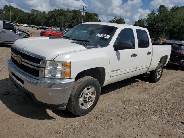 CHEVROLET SILVERADO 2013 1gc1cxcg2df212561