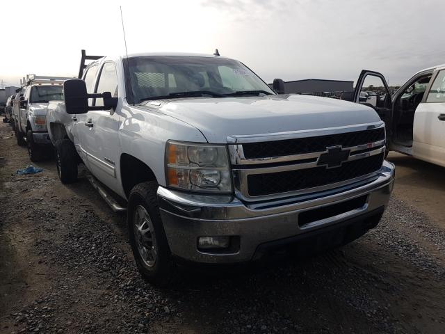 CHEVROLET SILVERADO 2011 1gc1cxcg6bf163121