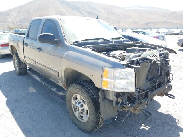 CHEVROLET SILVERADO 2012 1gc1cxcg7cf237146