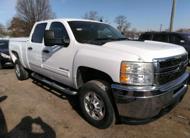 CHEVROLET SILVERADO 2500HD 2011 1gc1cxcgxbf179449