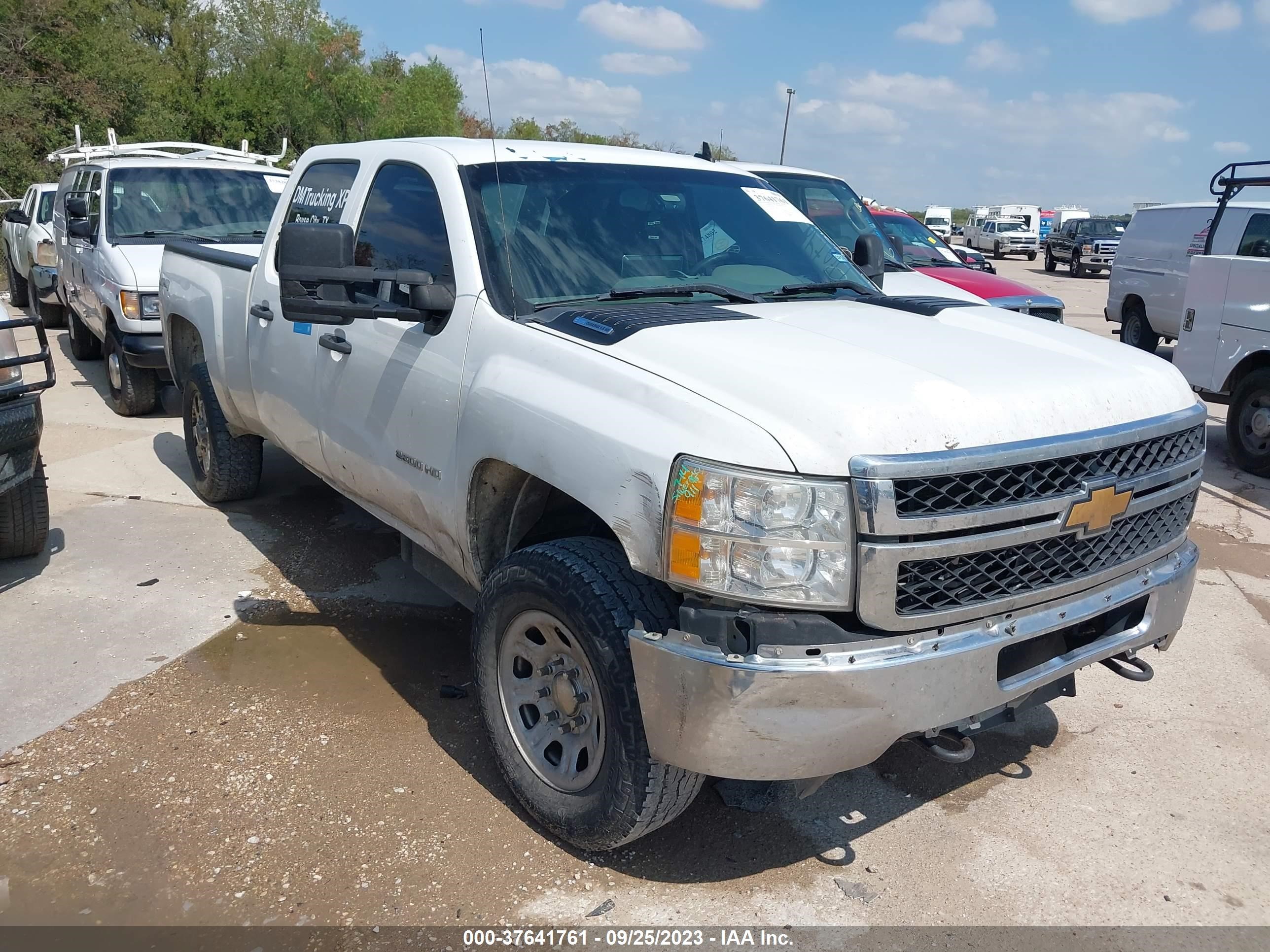 CHEVROLET SILVERADO 2013 1gc1kvc81df176748