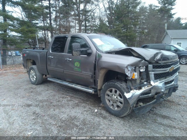 CHEVROLET SILVERADO 2500HD 2011 1gc1kxc81bf210129