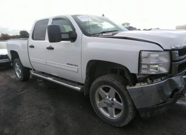 CHEVROLET SILVERADO 2500HD 2012 1gc1kxc81cf204817