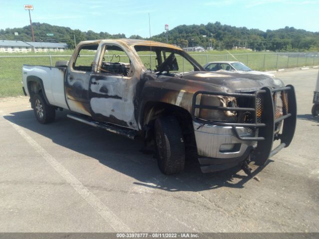 CHEVROLET SILVERADO 2500HD 2011 1gc1kxc84bf196808