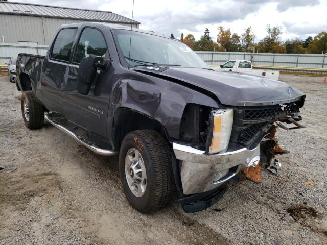 CHEVROLET 2500 HD 2011 1gc1kxc84bf209802