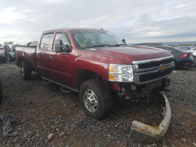 CHEVROLET SILVERADO 2014 1gc1kxc85ef117411