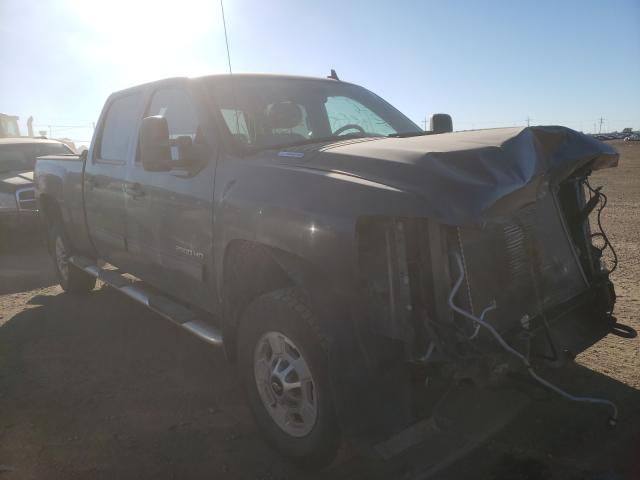 CHEVROLET SILVERADO 2011 1gc1kxc86bf188614