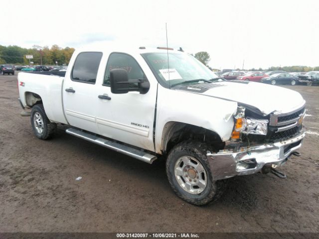 CHEVROLET SILVERADO 2500HD 2011 1gc1kxc8xbf174814