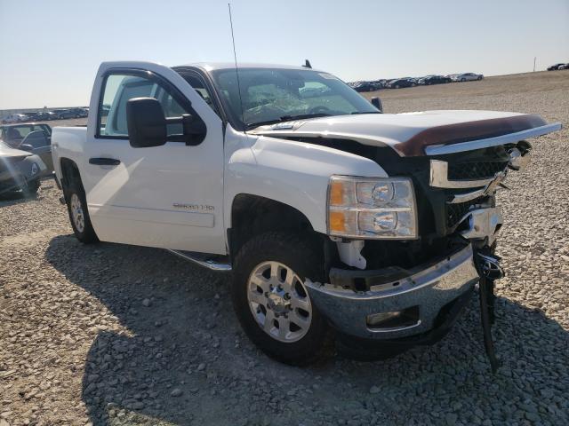 CHEVROLET SILVERADO 2011 1gc1kxcg1bf221560