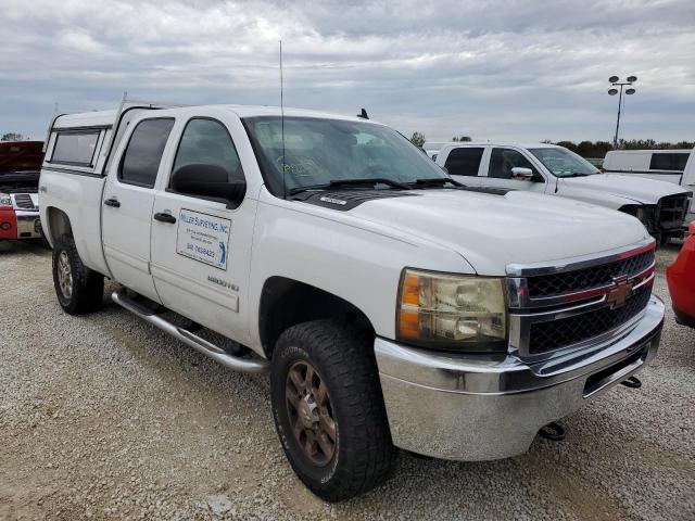 CHEVROLET SILVERADO 2011 1gc1kxcg4bf177652