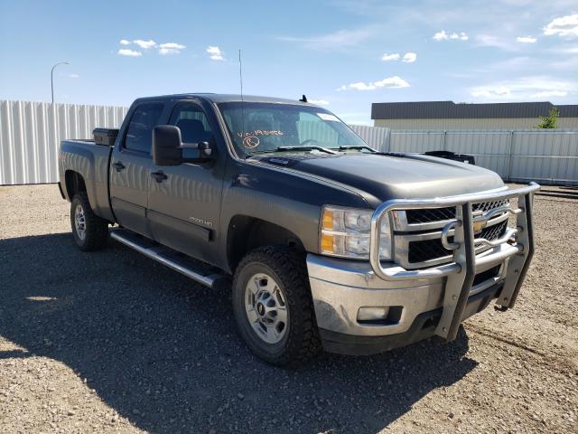 CHEVROLET SILVERADO 2011 1gc1kxcg7bf193456