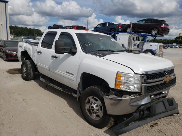 CHEVROLET SILVERADO 2014 1gc1kxe80ef172586