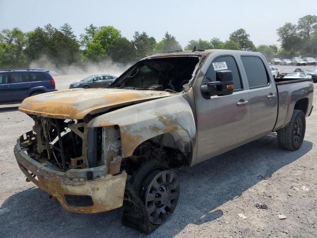 CHEVROLET SILVERADO 2014 1gc1kxe88ef134541