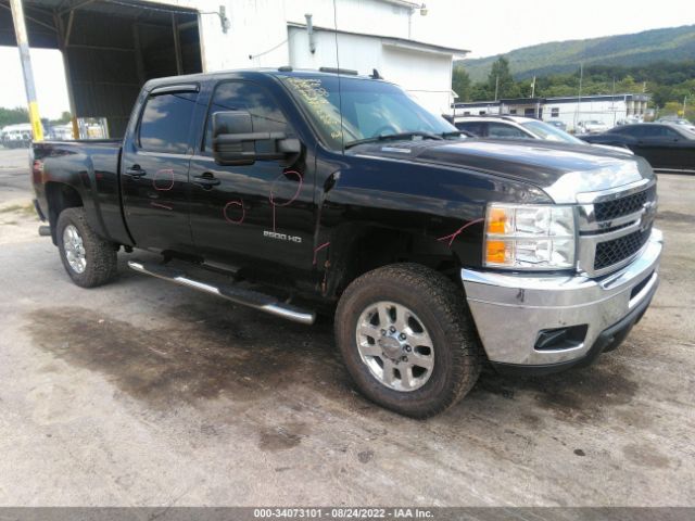 CHEVROLET SILVERADO 2500HD 2011 1gc1kyc82bf247874