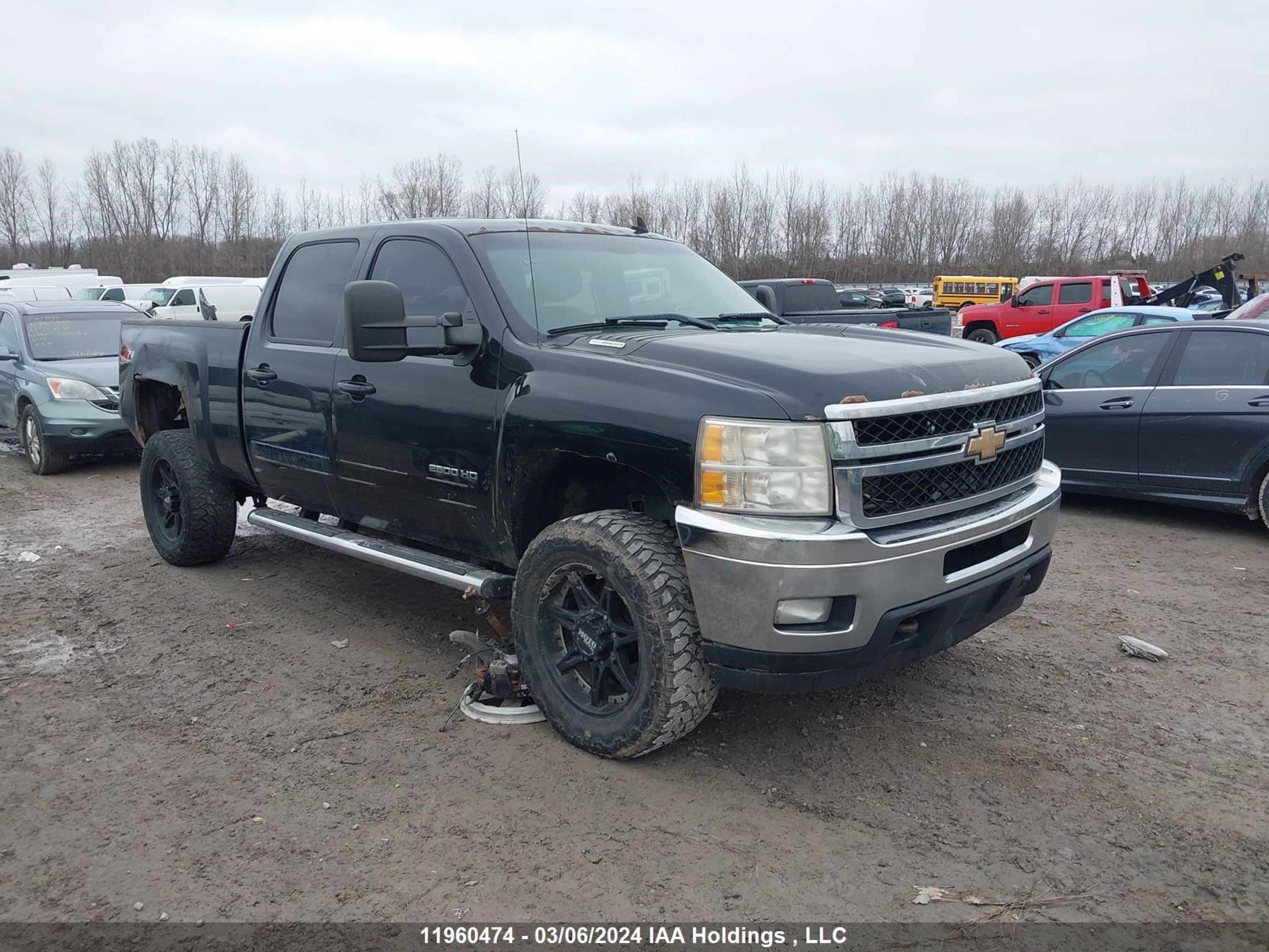 CHEVROLET SILVERADO 2011 1gc1kyc84bf150210