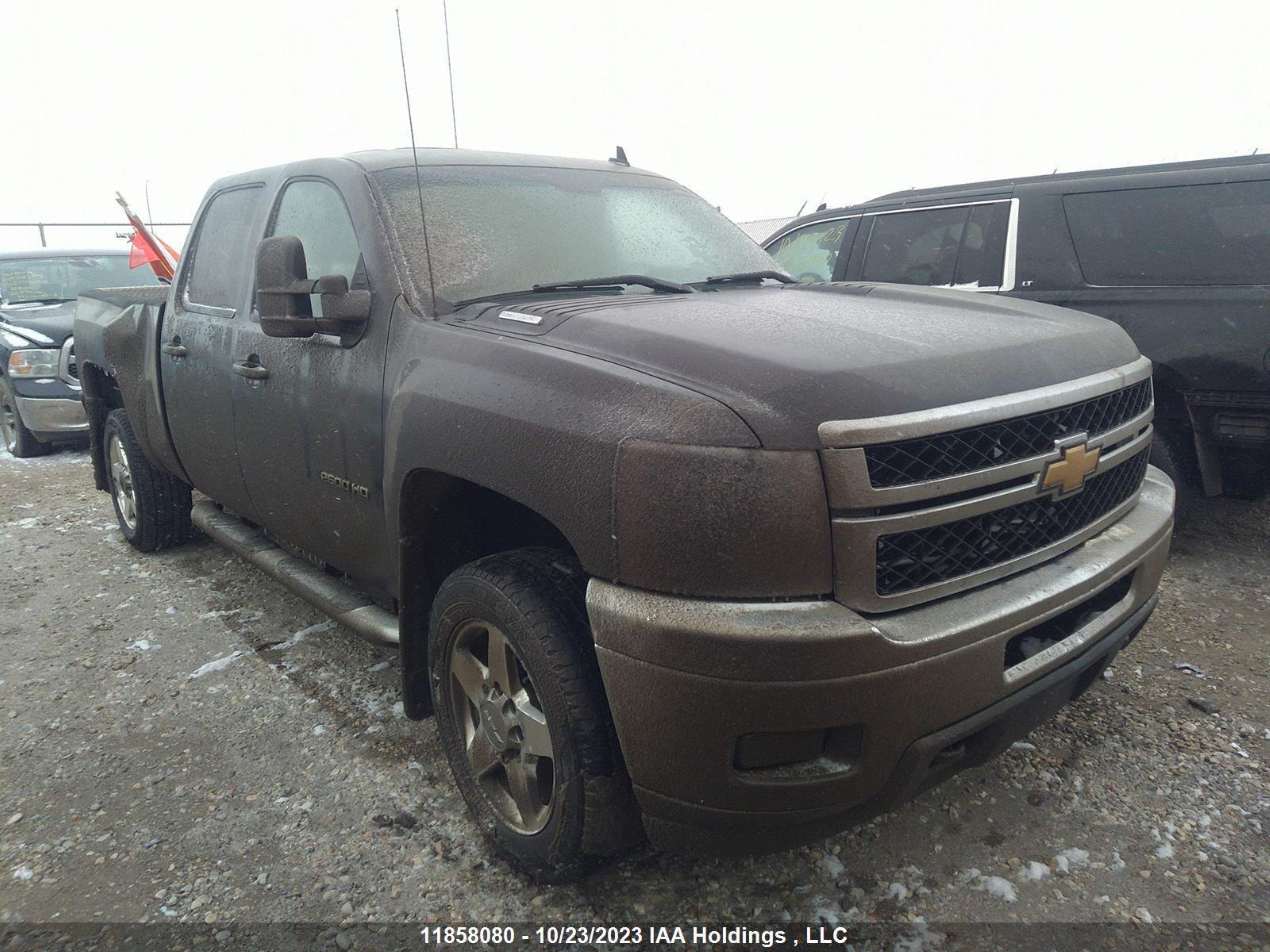 CHEVROLET SILVERADO 2011 1gc1kyc8xbf229347