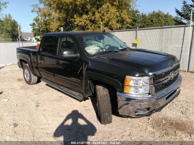 CHEVROLET SILVERADO 2500HD 2011 1gc1kycg6bf190439