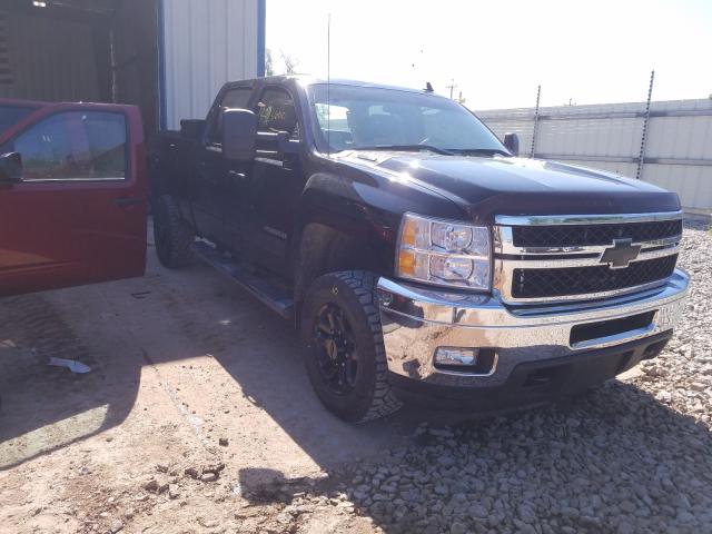 CHEVROLET SILVERADO 2011 1gc1kyeg1bf175716