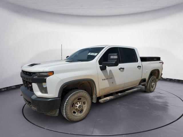 CHEVROLET SILVERADO 2020 1gc1yle71lf146171