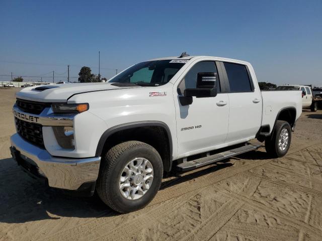 CHEVROLET SILVERADO 2020 1gc1yne72lf285236