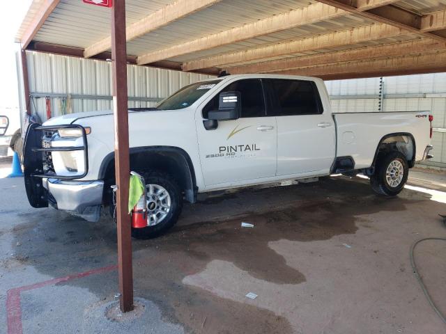 CHEVROLET SILVERADO 2021 1gc1yne75mf285460