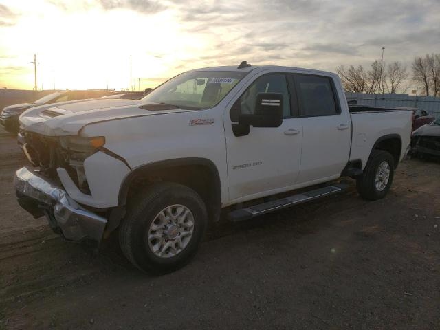 CHEVROLET SILVERADO 2023 1gc1yne78pf210384