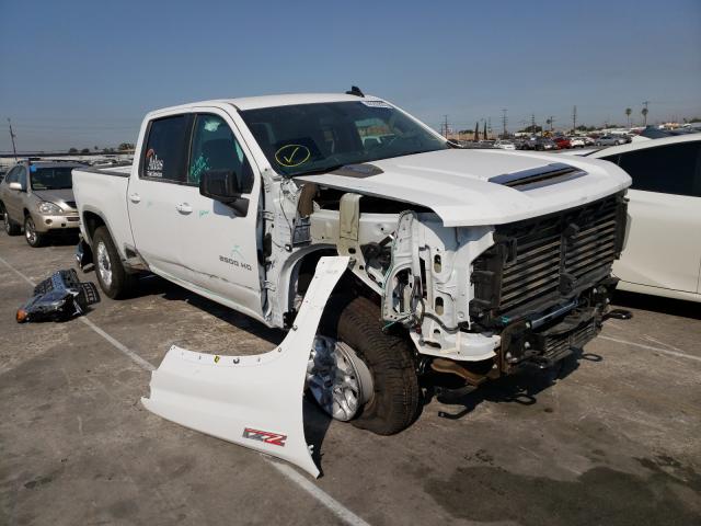 CHEVROLET SILVERADO 2020 1gc1yney3lf249872