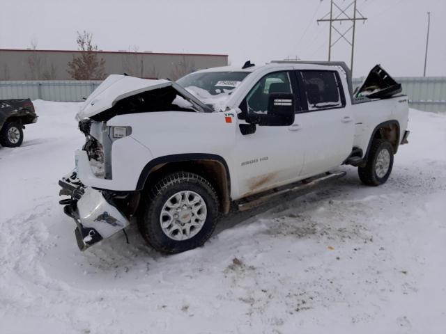 CHEVROLET SILVERADO 2021 1gc1yney6mf278848