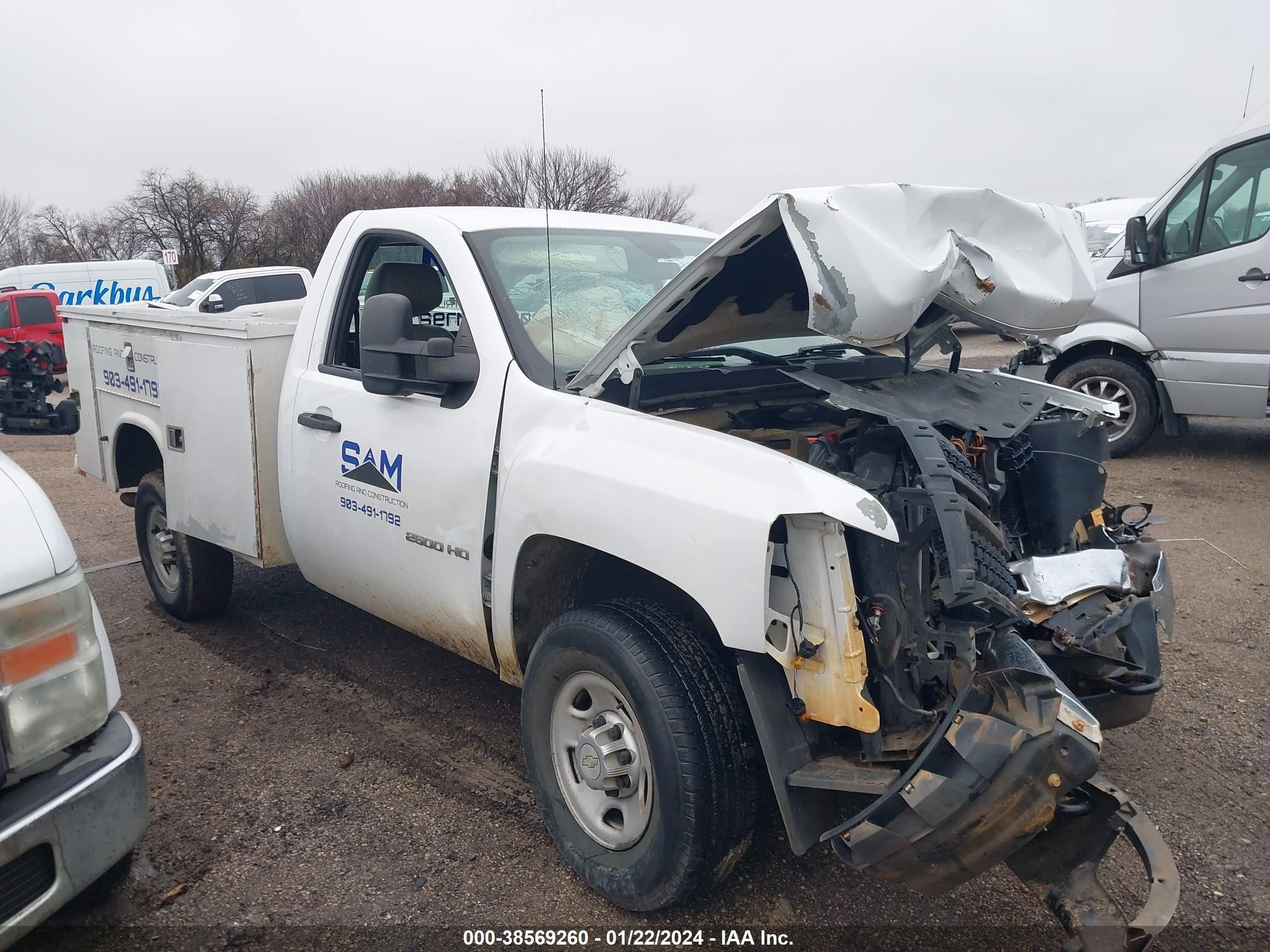 CHEVROLET SILVERADO 2010 1gc3cvbg1af155716