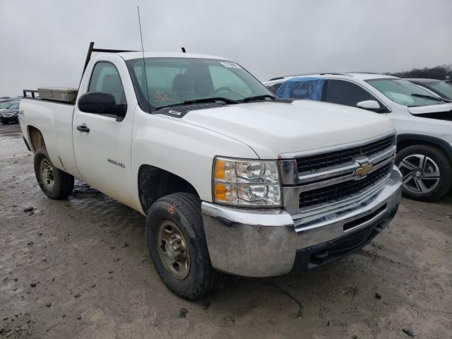 CHEVROLET SILVERADO 2010 1gc3kvbg5af123533