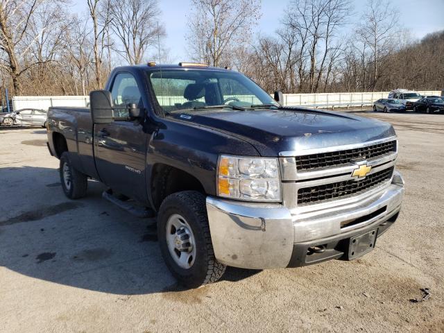 CHEVROLET SILVERADO 2010 1gc3kvbg6af121094