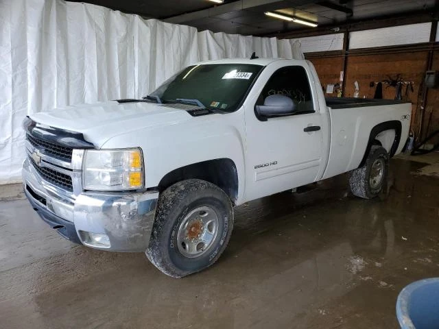 CHEVROLET SILVERADO 2010 1gc3kxbg9af101322