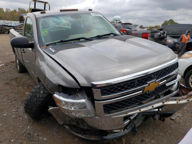 CHEVROLET SILVERADO 2013 1gc3kzcgxdf216445