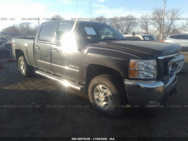 CHEVROLET SILVERADO 2500HD 2010 1gc4kxb66af134158