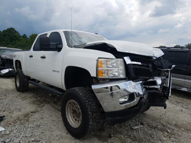 CHEVROLET SILVERADO 2010 1gc4kxbg0af151773