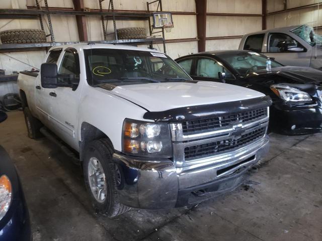 CHEVROLET SILVERADO 2010 1gc4kxbg6af141989