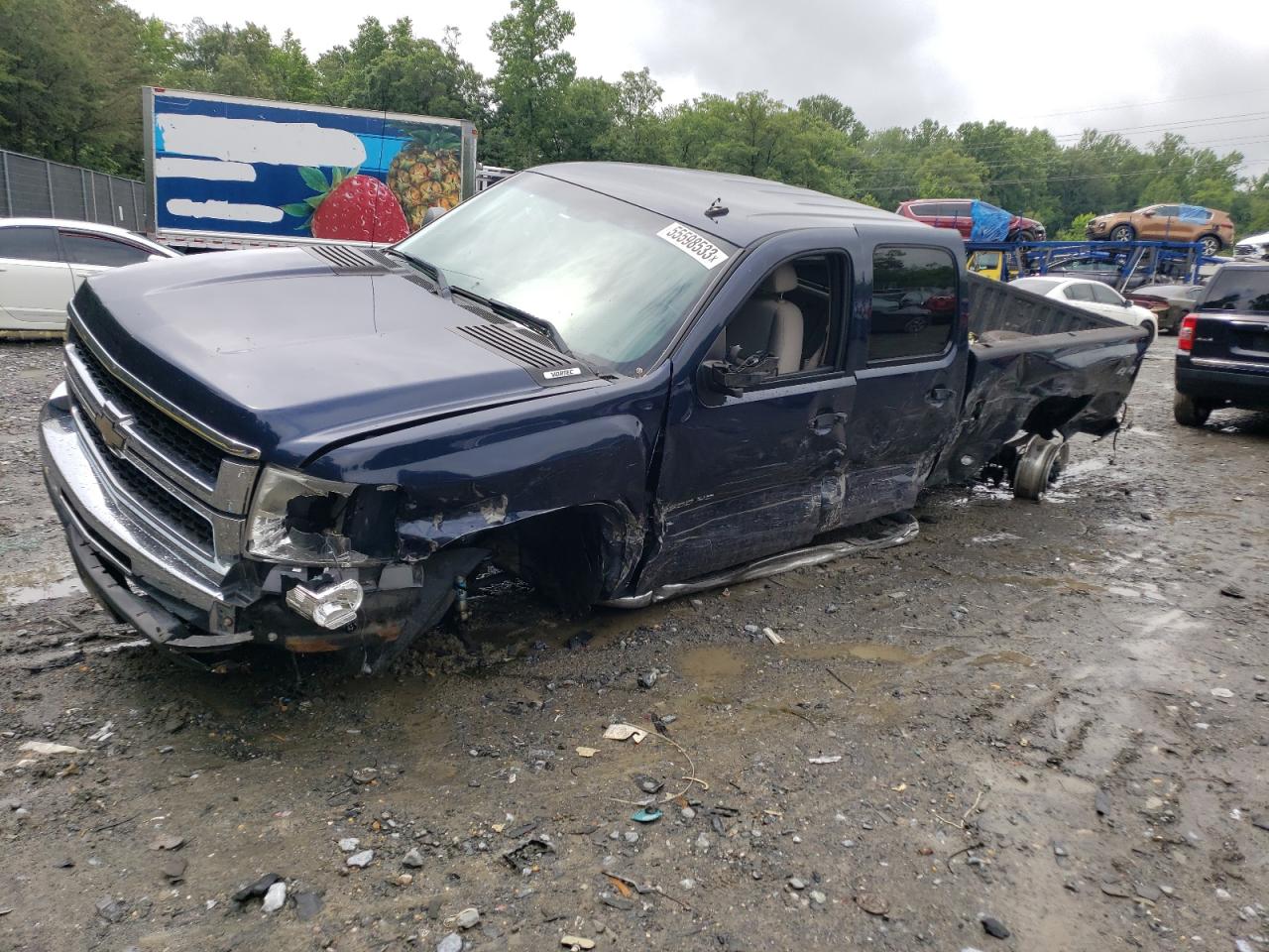 CHEVROLET SILVERADO 2010 1gc4kxbg7af136655