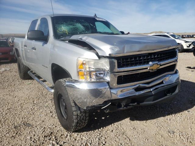 CHEVROLET SILVERADO 2010 1gc4kxbgxaf156883