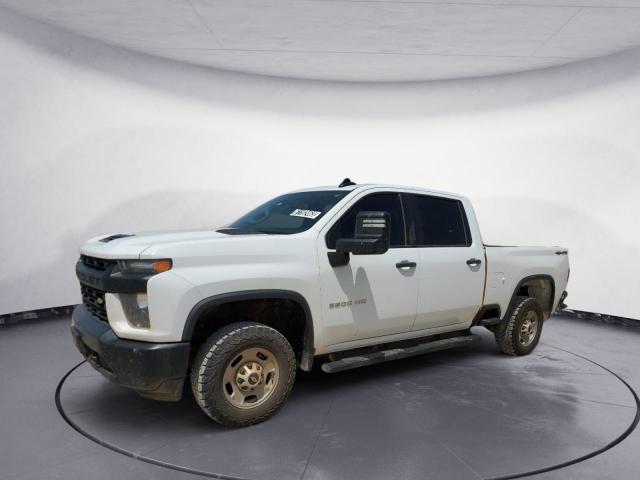 CHEVROLET SILVERADO 2020 1gc4yle71lf181757