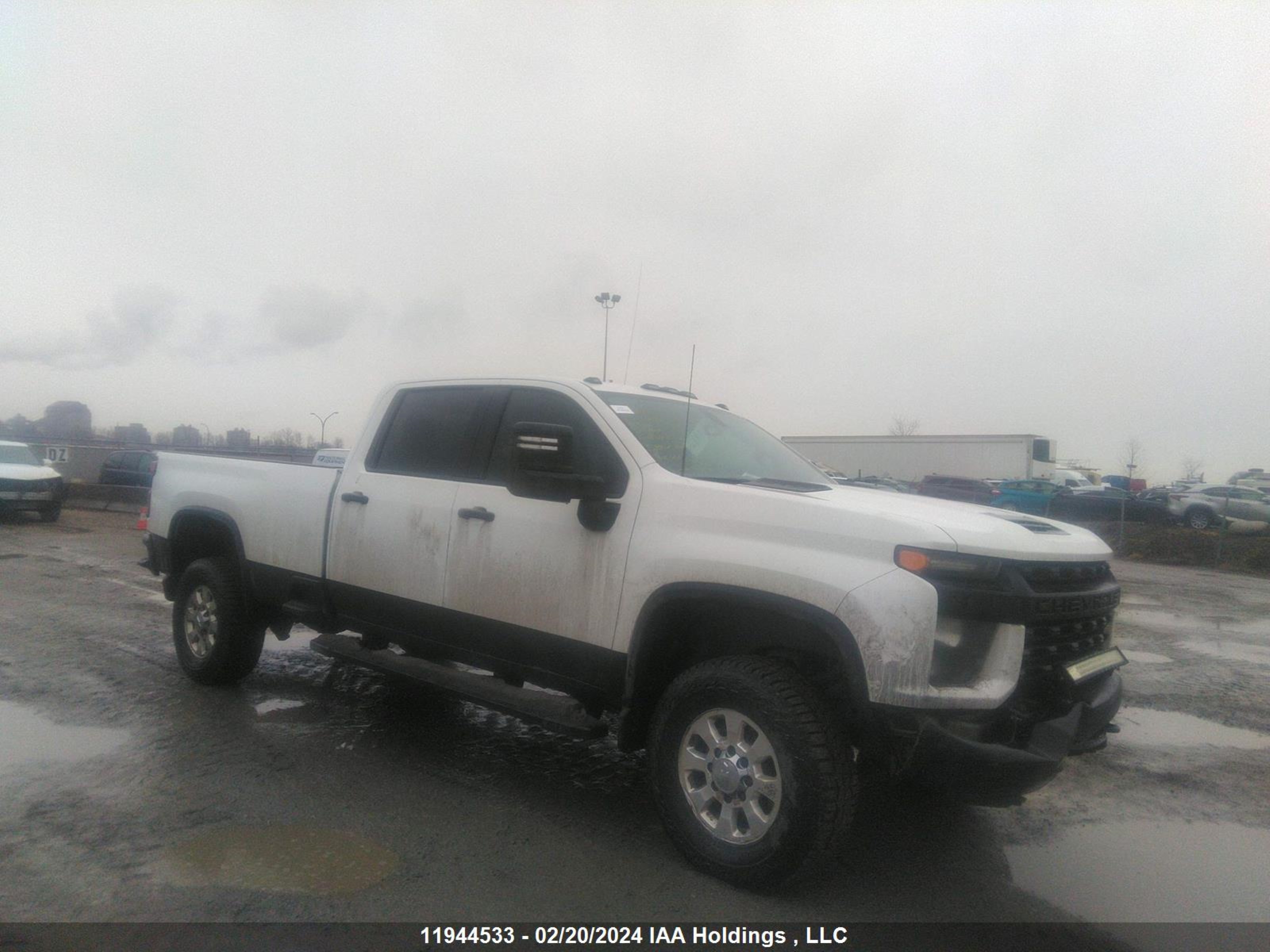 CHEVROLET SILVERADO 2021 1gc4yle72mf187892