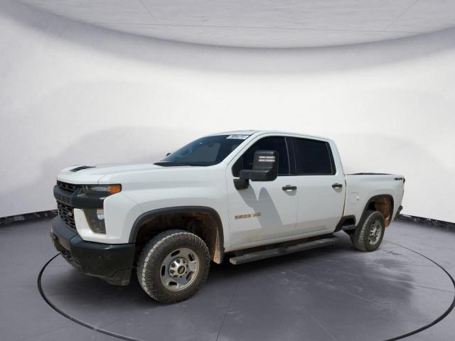 CHEVROLET SILVERADO 2020 1gc4yle73lf173658