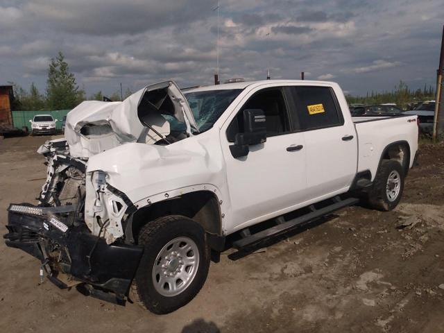 CHEVROLET SILVERADO 2020 1gc4yle74lf215187